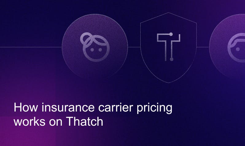 preview How health insurance carrier pricing works on Thatch image